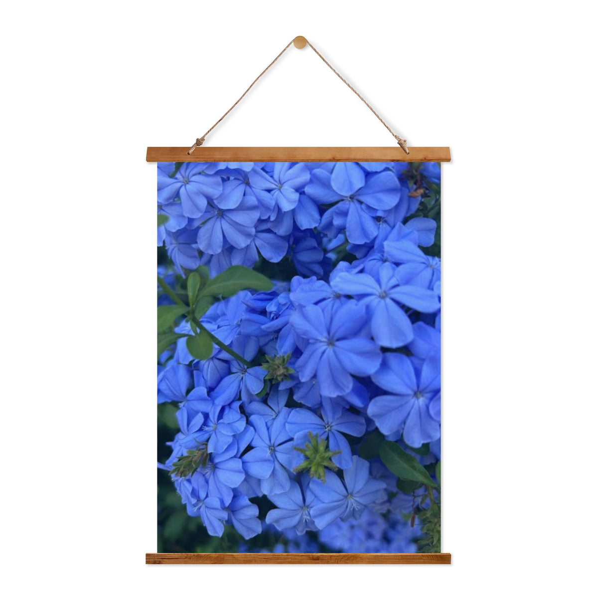 Portuguese Skyflowers Wall Tapestry
